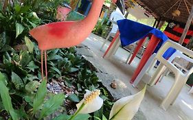 Casarao Hostel E Pousada